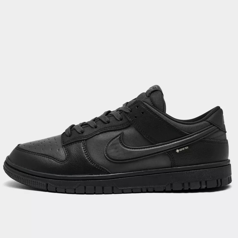 Nike Dunk Low Men’s Gore-Tex Sneakers Triple Black 12